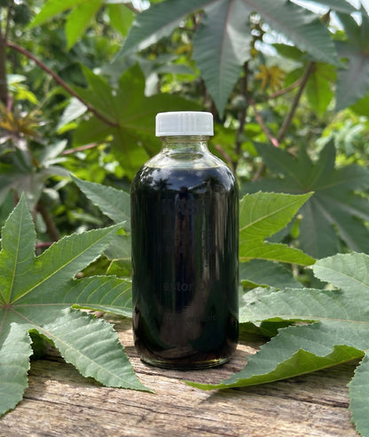 Jamaican Castor Oil